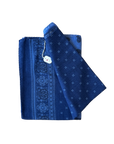 Shawl, blue print Paolo Albizzati